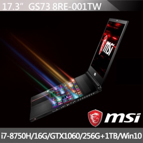 MSI GS73 8RE[001TW] i7-8750H/16G/256G+1T/1060-6G